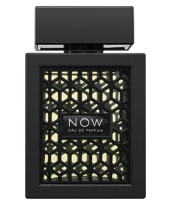 Rave Now Eau de Parfum – Perfume Masculino