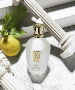 Xerjoff XJ 1861 Renaissance Eau de Parfum – Perfume Unissex