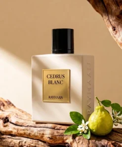 Rayhaan Cedrus Blanc Eau de Parfum – Perfume Unissex